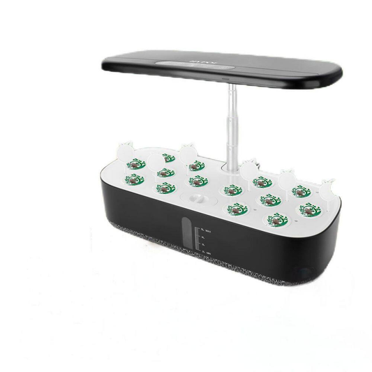 12 Pods Hydroponic Growing System Garden Kit with LED Grow Light, Adjustable Height, Water Pump, No Seeds Included