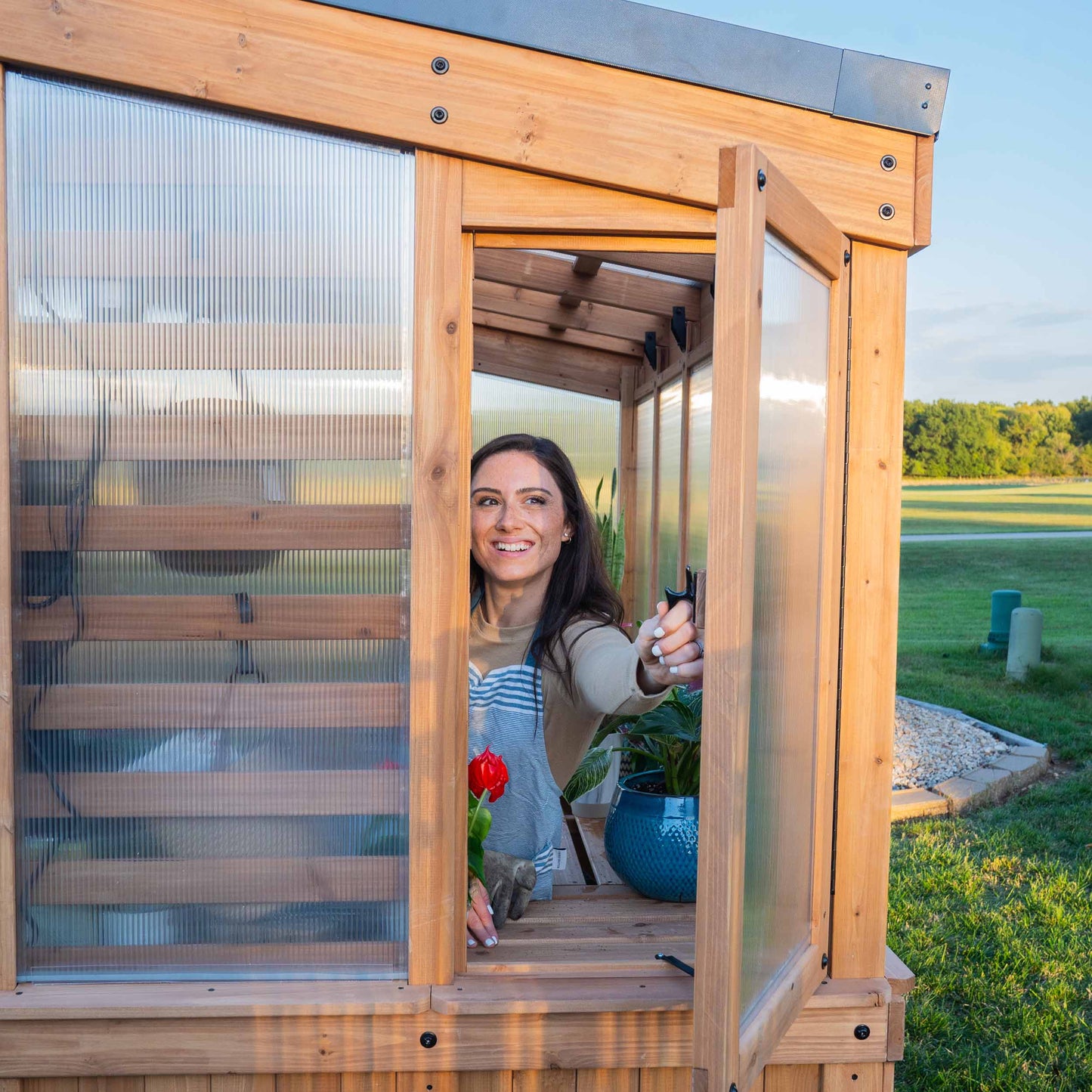 9X6 Willow Greenhouse