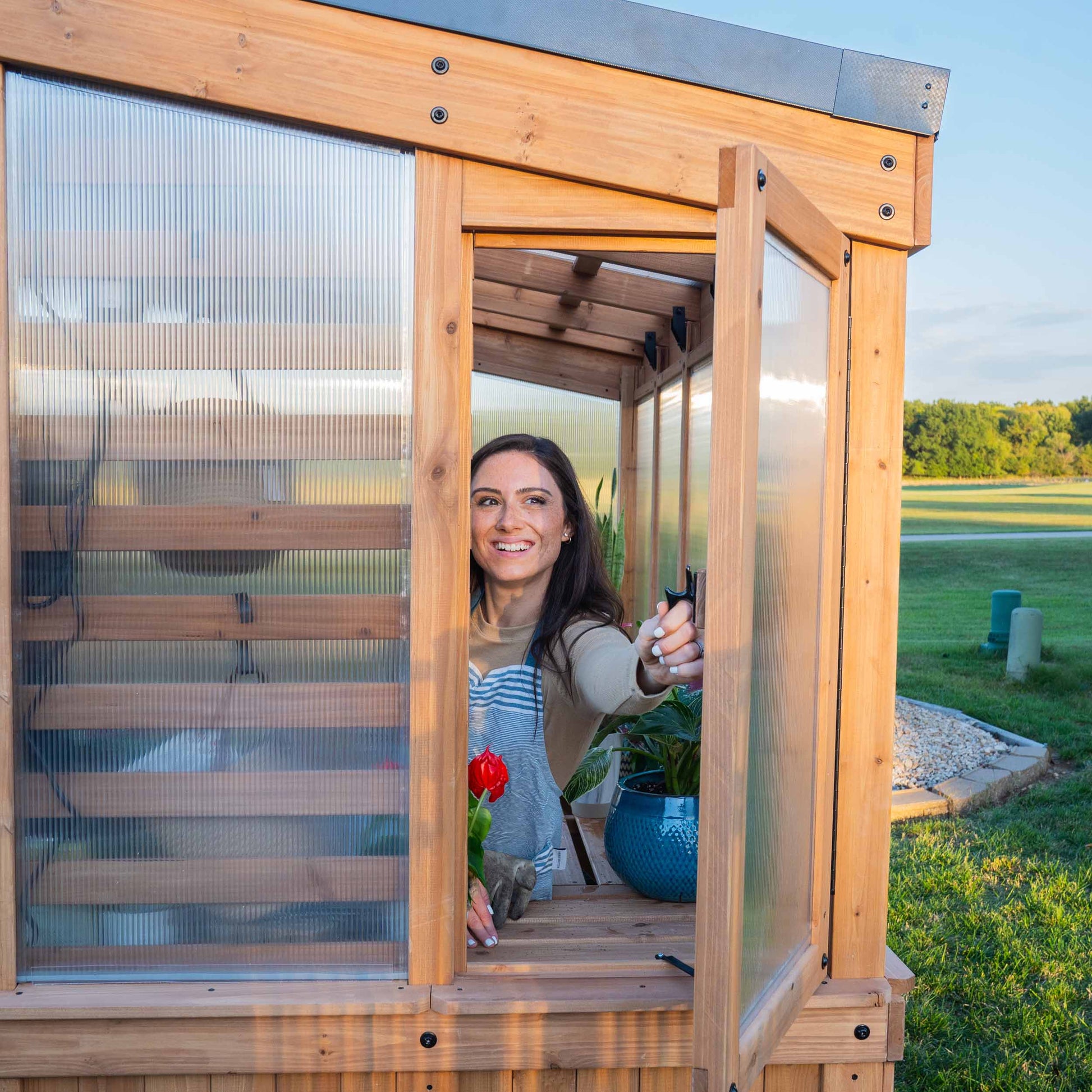 9X6 Willow Greenhouse