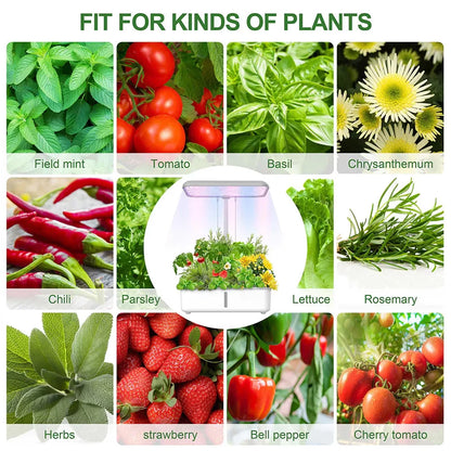 Tuya Wifi Plant Hydroponics System Growing LED Light Soilless Smart Planting Machine Self Watering Indoor Home Gardening Planter