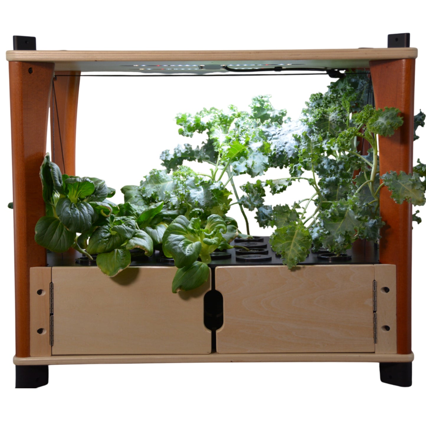 Hydroponic Home Farm