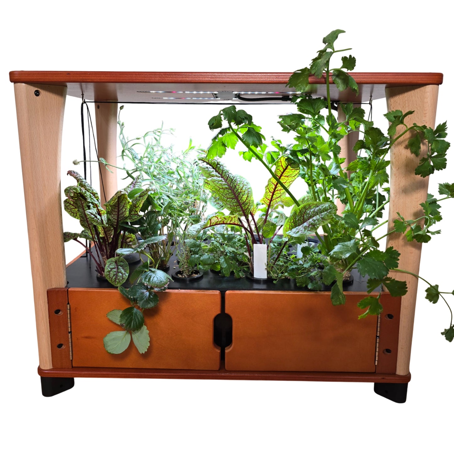 Hydroponic Home Farm