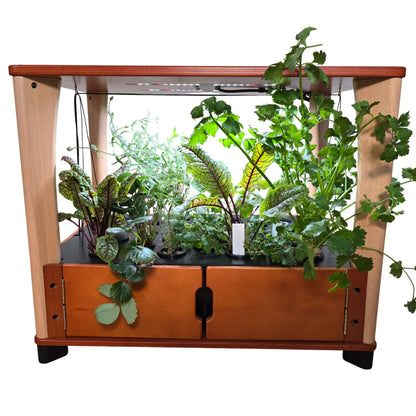 Hydroponic Home Farm