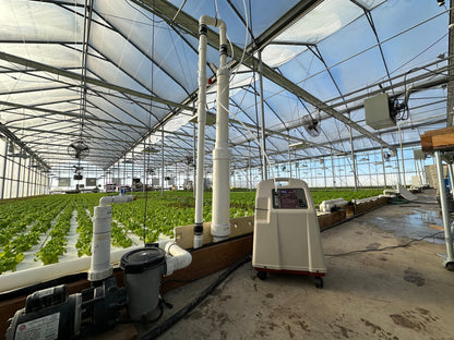 AirCone + Oxygen Concentrator Bundle