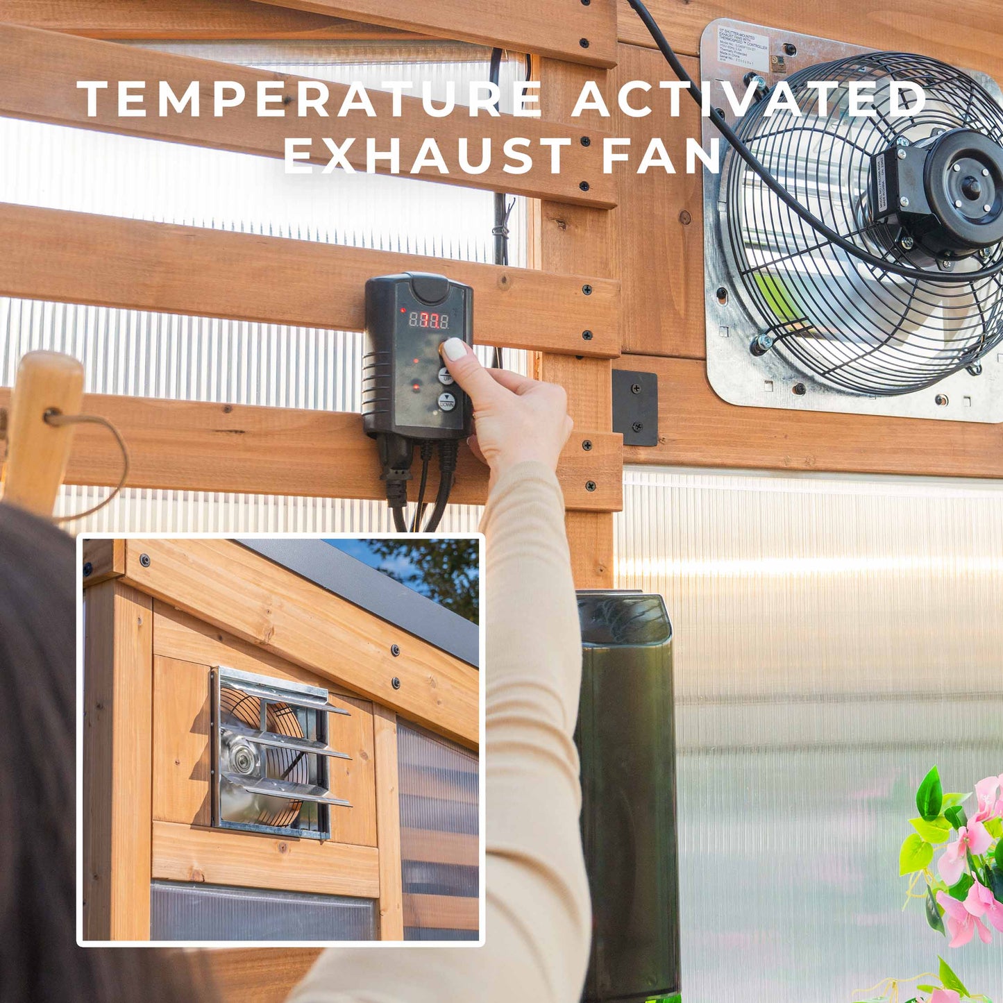 9X6 Willow Greenhouse